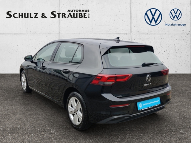 Golf VIII 2.0 TDI Life  LED DAB+ Vordersitze beh