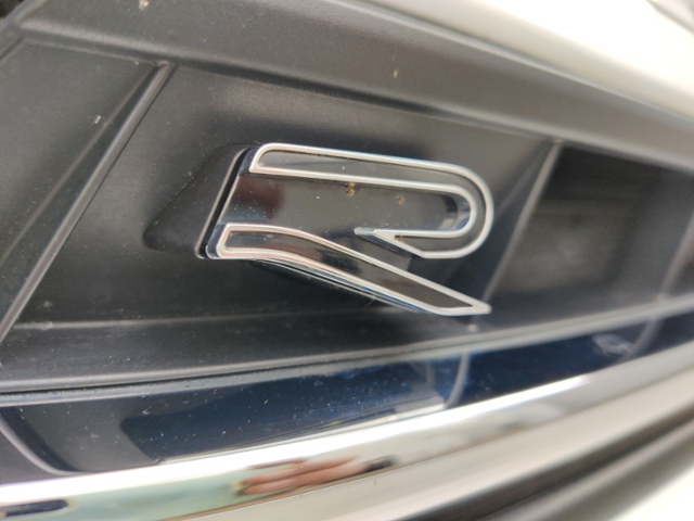 Polo 1.0 TSI R-Line  Rear View,LED-Matrix,PDC,AC