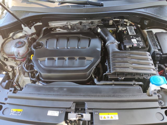 Tiguan Allspace 2.0 TSI R-Line 4Motion (EURO 6d)