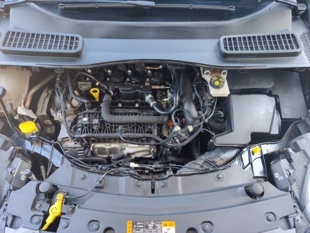 Kuga 1.5 EcoBoost ST-Line  Start/Stopp OPF KLIMA