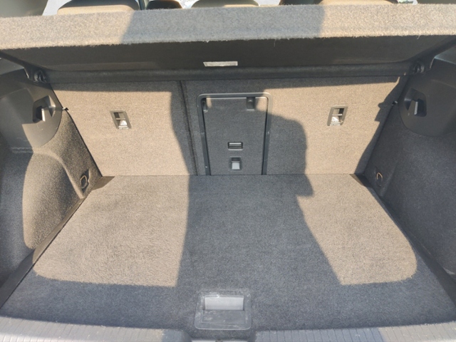 Golf VIII 2.0 TDI Life Lane Assist Lenkradheizun