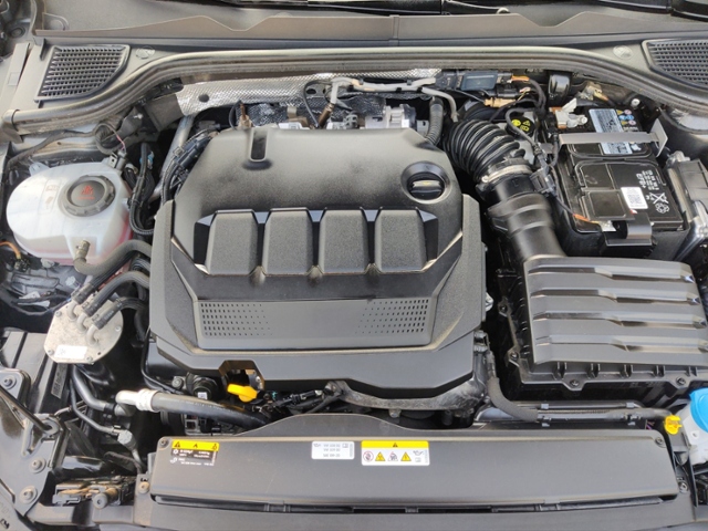 Golf VIII 2.0 TDI Life Lane Assist Lenkradheizun