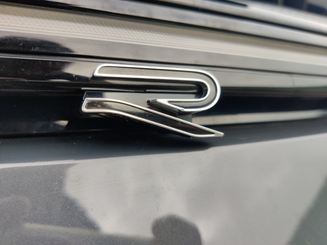 Golf VIII 2.0 TSI R-Line (EURO 6d) KLIMA LED ALU