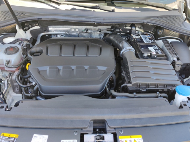 Tiguan 2.0 TSI R-Line 4Motion OPF (EURO 6d) KLIM