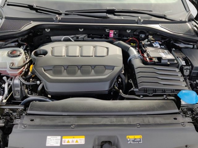 Octavia Combi 2.0 TSI RS First Edition OPF (EU 6