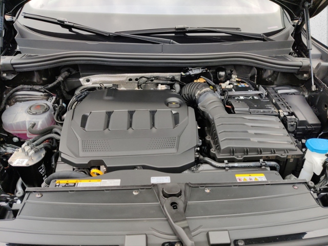 Tiguan R-Line 2,0 l TDI SCR 4MOTION 142 kW (193