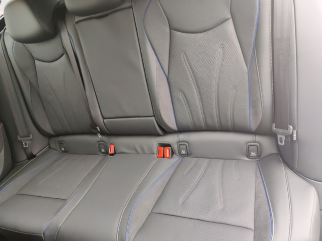 Passat R-Line 2,0 TDI 142 kW DSG 4MOTION