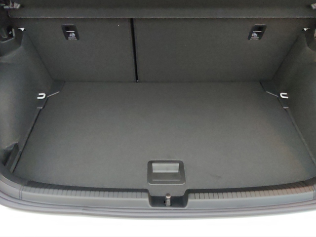 Polo R-Line 1,0 l TSI 85 kW (116 PS) 7-Gang-Dopp