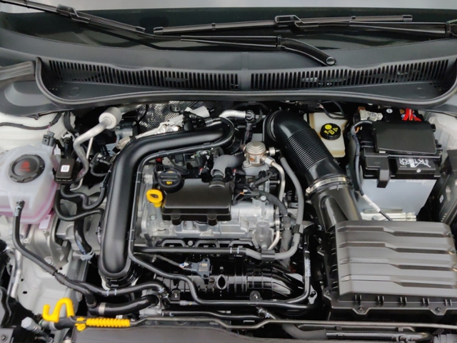 Polo R-Line 1,0 l TSI 85 kW (116 PS) 7-Gang-Dopp