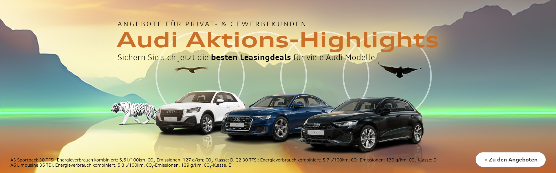 Audi Highlights Herbst 2024