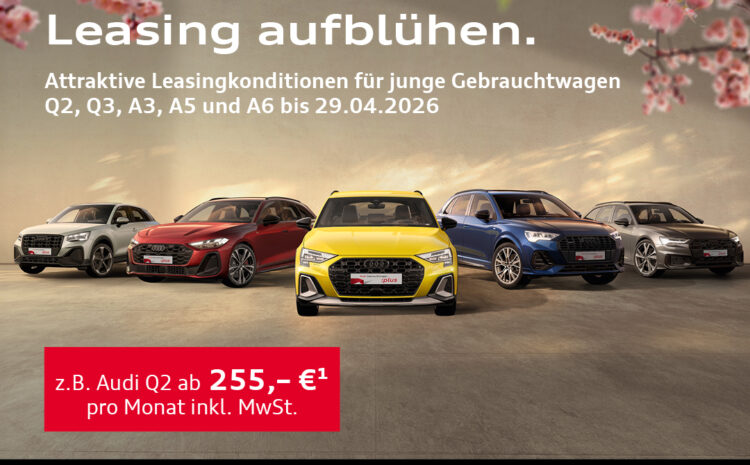  Unsere Audi GW plus Wochen